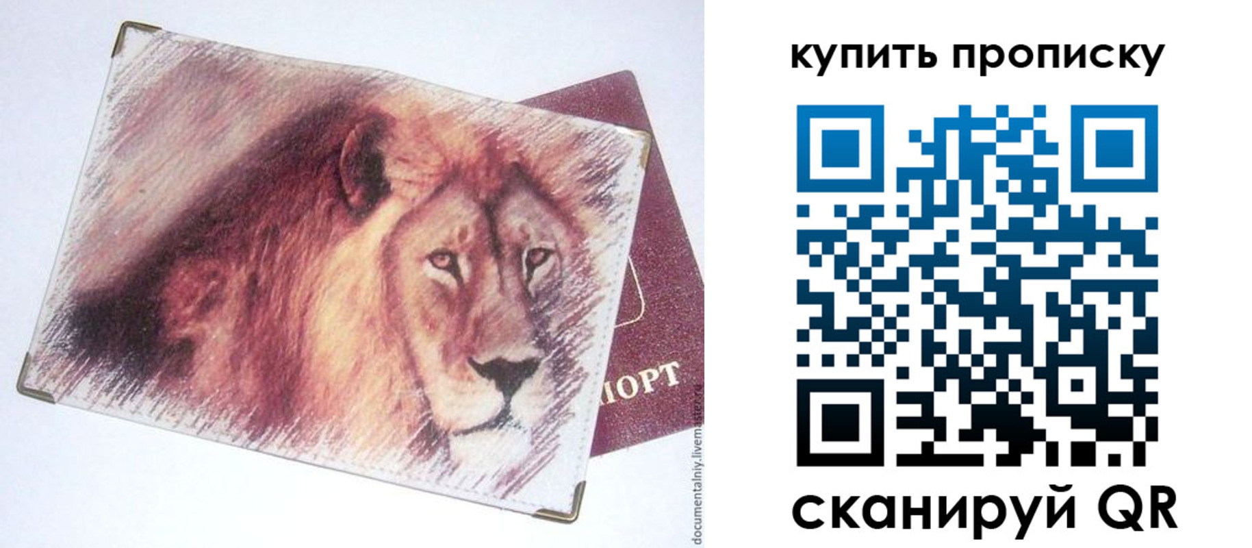 прописка паспорт в Чаплыгине